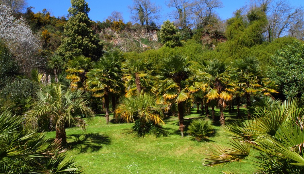Bretagne-Gärten: Der Park von Schloss de la Roche Jagu