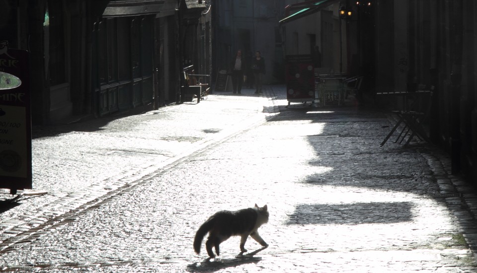 Morlaix in der Bretagne: Gasse mit Katze