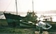 Der Bretagne-Tipp: Bilder und Informationen von der Nordk&uuml;ste der Bretagne und Ferienhaus-Vermietung.