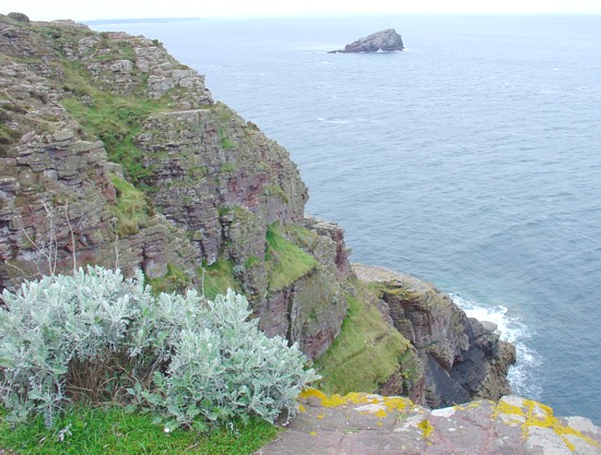 Bretagne-Tipp Cap Fréhel: Blick vom Cap