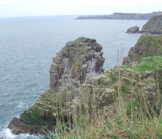 Bretagne-Tipp Cap Fréhel: La Fauconnière mit dem Fort-La-Latte im Hintergrund.