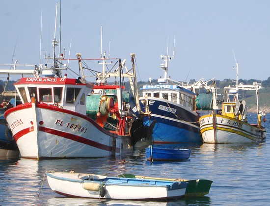 Bretagne: Fischerboote in Locquémeau