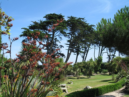 Bretagne-Insel &Icirc;le de Batz: Botanischer Garten.