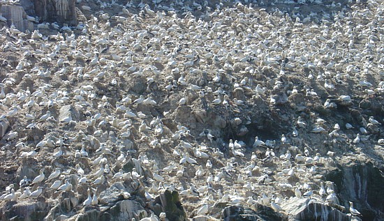 Bretagne-Inseln 