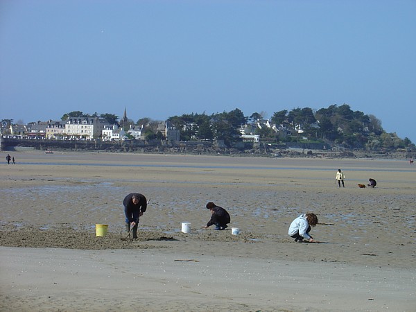 Ferienhaus-Bretagne-Urlaub: Gezeiten-Fischerei.