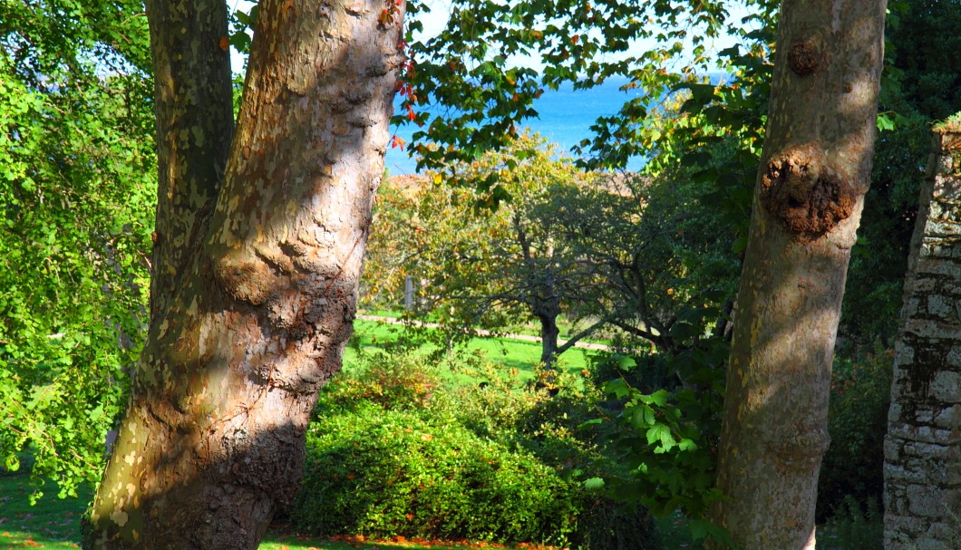 Die Abbaye de Beauport: Noch ein Blick in den Garten