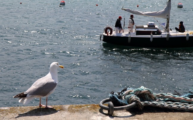 Ferienhaus Bretagne Urlaub: Hafen Le Diben