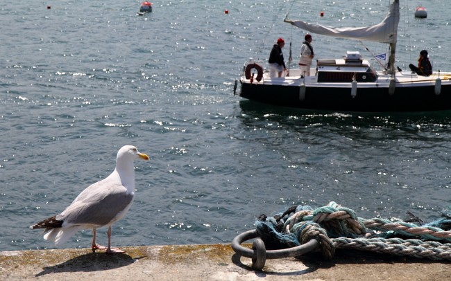 Ferienhaus Bretagne Urlaub: Hafen Le Diben