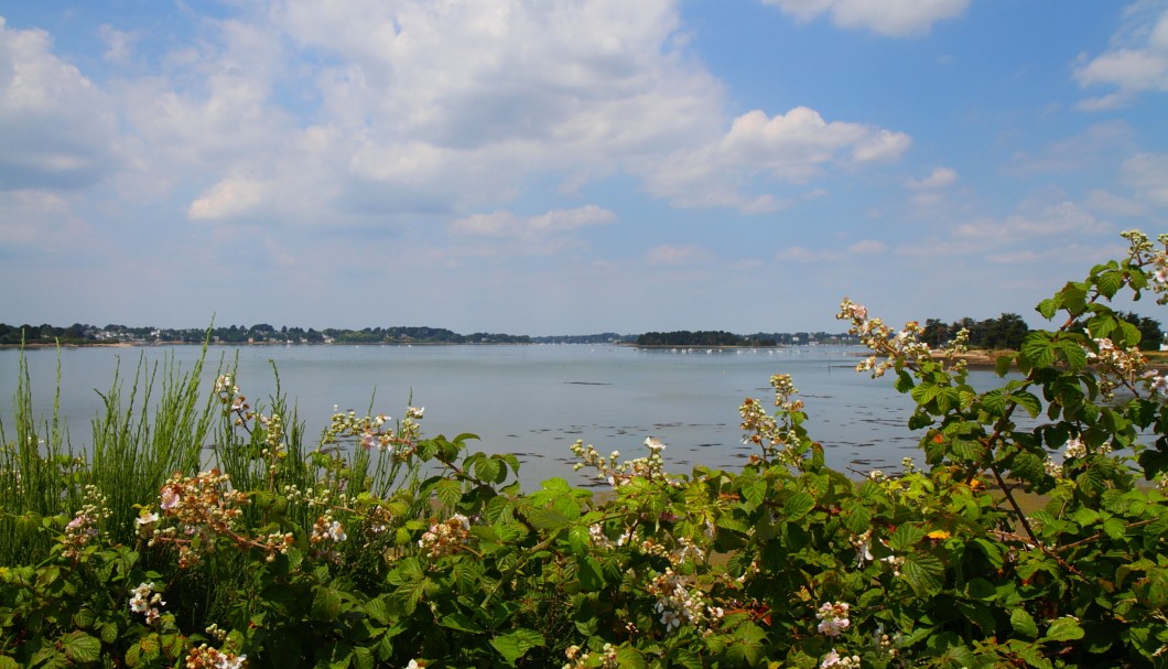 Bretagne Insel Île d'Arz