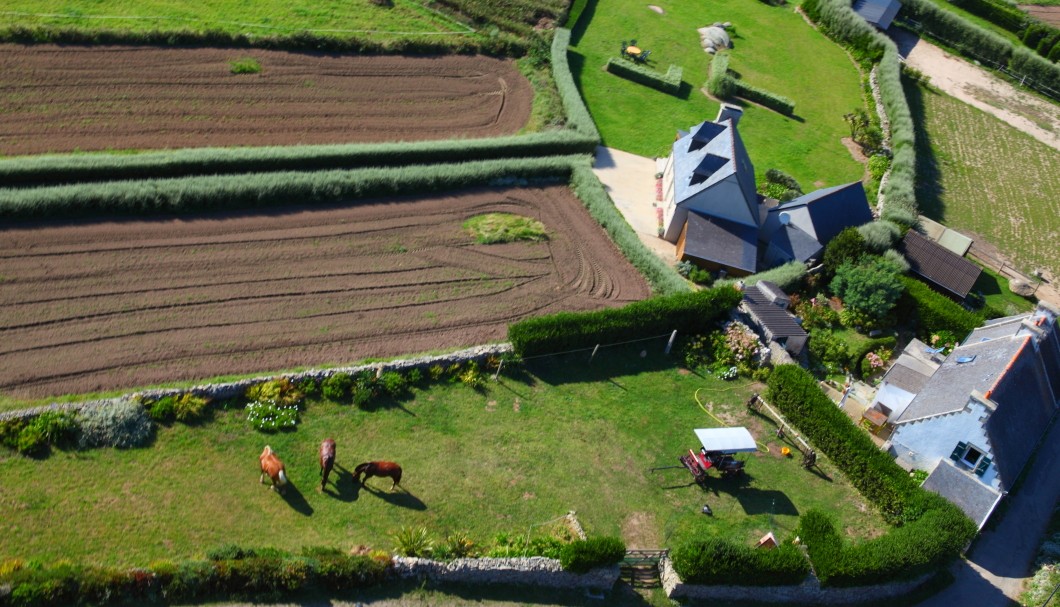 Bretagne Insel Île de Batz