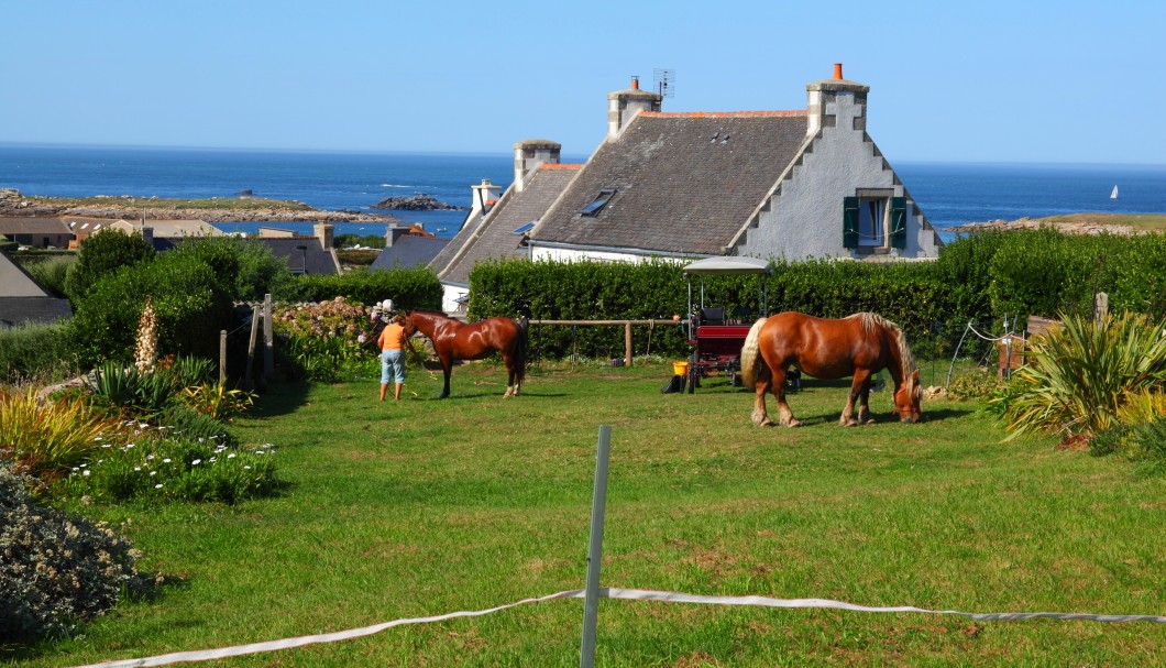 Bretagne Insel Île de Batz