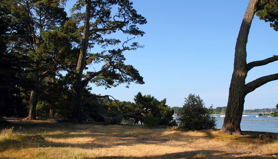 Bretagne Insel Île de Berder