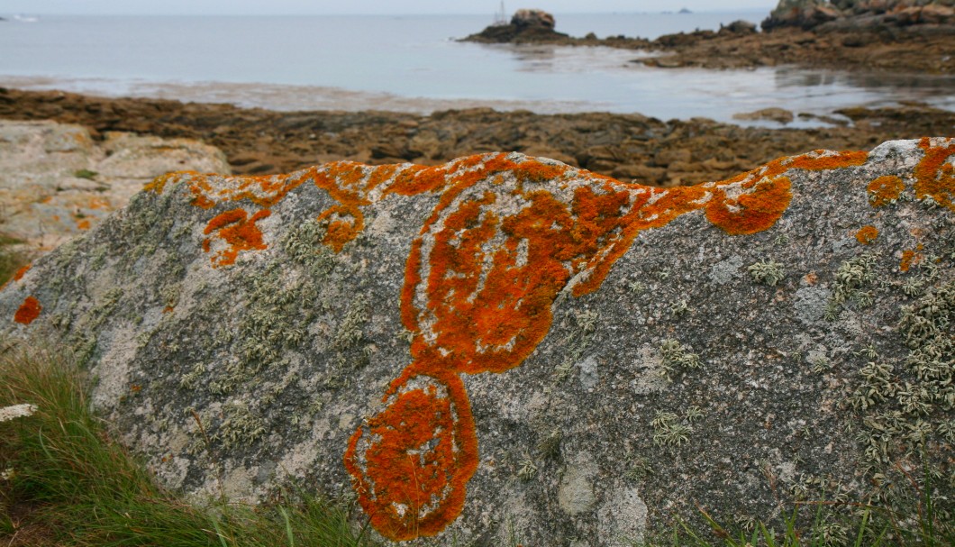 Bretagne-Insel Île de Sein Flechtengemälde