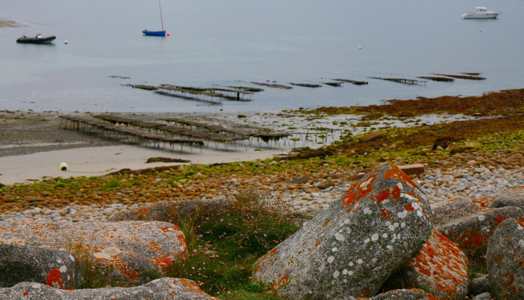 Bretagne-Insel Île de Sein Austernzucht