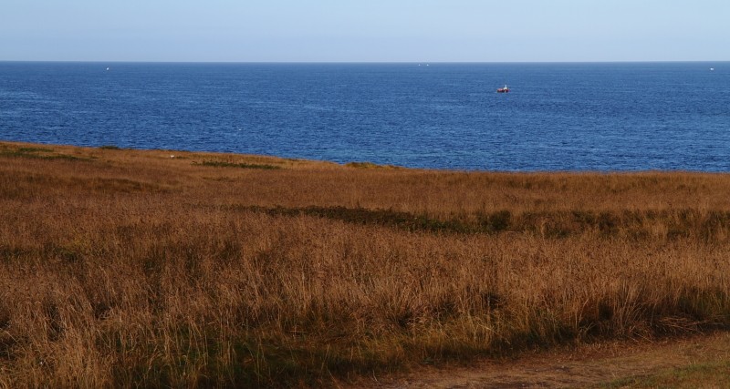 Bretagne Insel Molène: Der Küstenweg