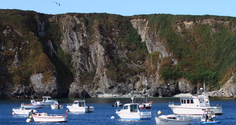 Bretagne Insel Ouessant: Im Hafen