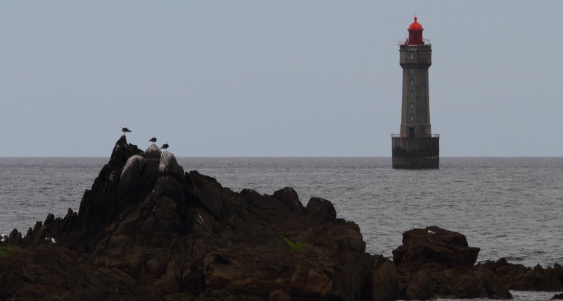 Bretagne Insel Ouessant: La Jument