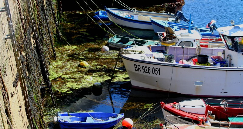 Bretagne Insel Ouessant: Im Hafen