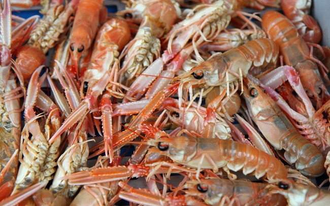 Langoustinen, Kaisergranat