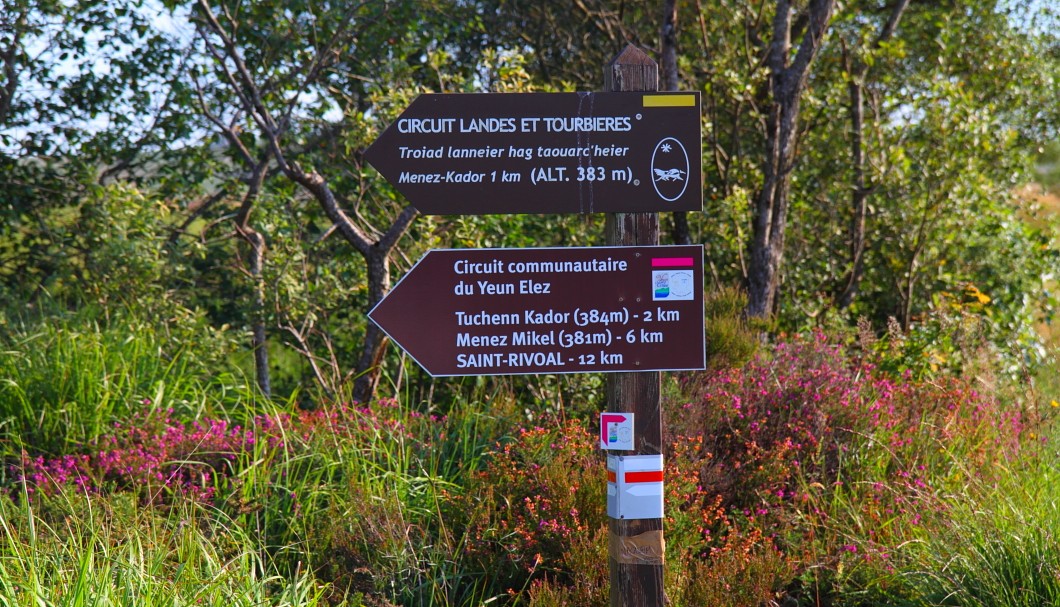 Bretagne Wandern am frühen Morgen in den Monts d'Arrée