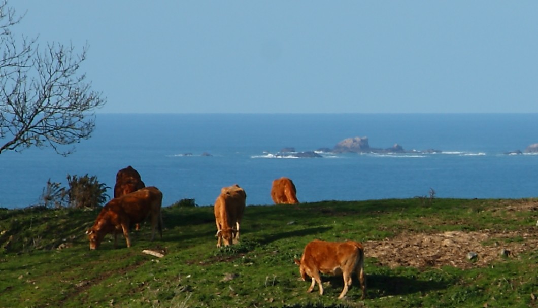 Bretagne am Meer: Ferienhaus Urlaub zwischen Armor und Argoat.