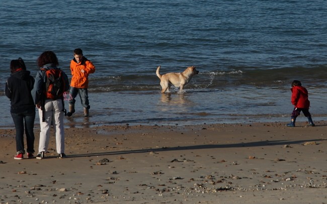 Bretagne im Januar am Meer - Neujahr 01.01.2008, ein nicht alltäglicher Ferienhaus-Urlaub 