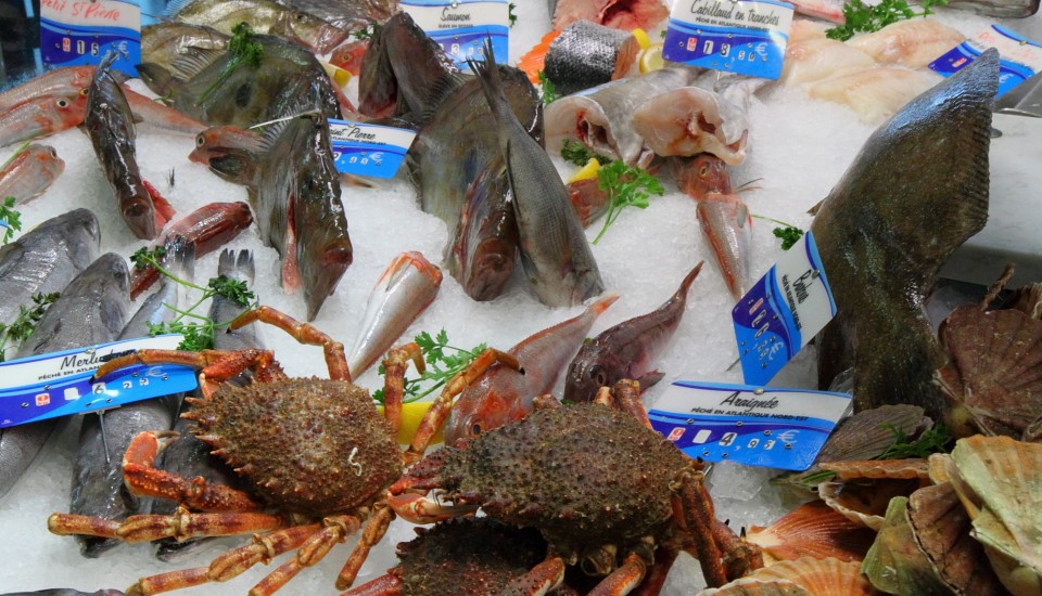 Concarneau in der Bretagne: Fisch und Meeresfrüchte