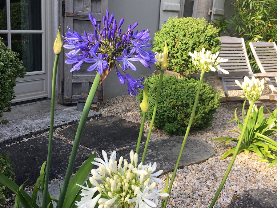 Ferienhaus Bretagne Bihan Ti