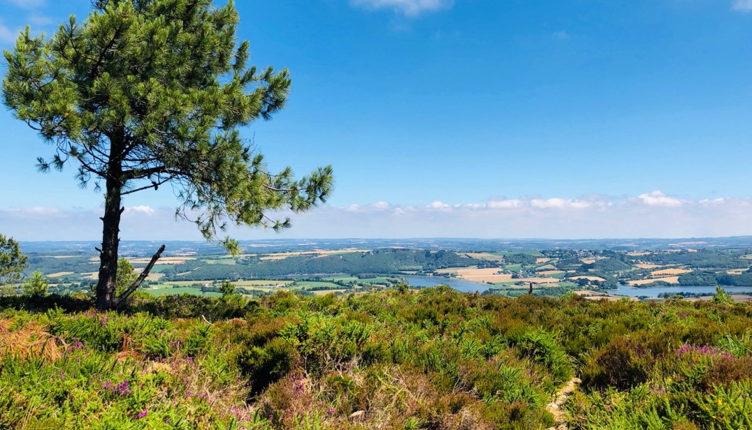 Ferienhaus Bretagne Kellereg - Einzigartige Wanderwege auf dem Menez Hom, höchste Erhebung (330m), mit Fernsicht über die ganze Bucht von Douarnenez; auch Mountainbike-Trails