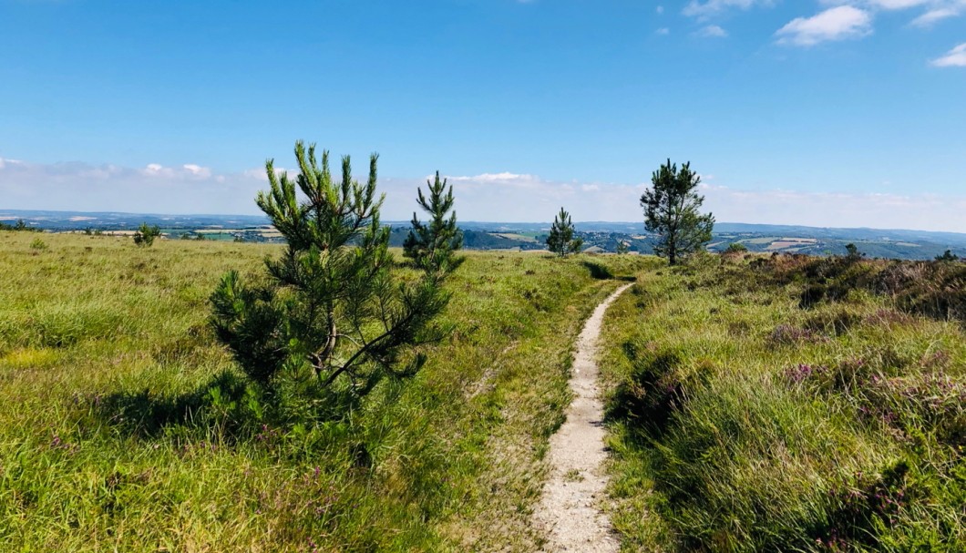 Ferienhaus Bretagne Kellereg - Einzigartige Wanderwege auf dem Menez Hom, höchste Erhebung (330m), mit Fernsicht über die ganze Bucht von Douarnenez; auch Mountainbike-Trails