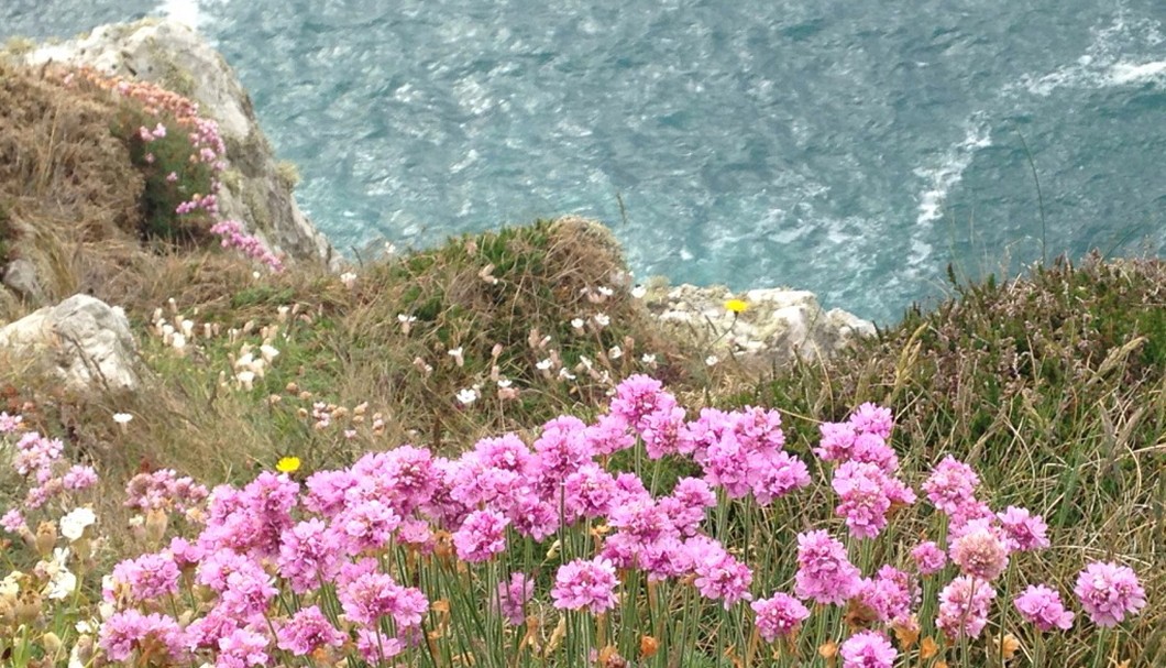 Pointe de Dinan, Halbinsel von Crozon