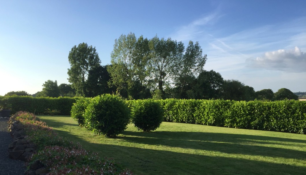 Ferienhaus Bretagne Maison Kerguen - unser Garten