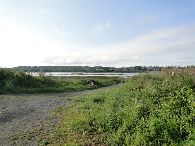 Ferienwohnung Bretagne Kerjagu auf der Île Grande