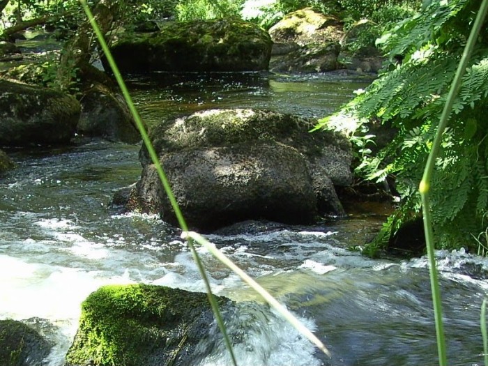 Der Fluss nahe am Ferienhaus