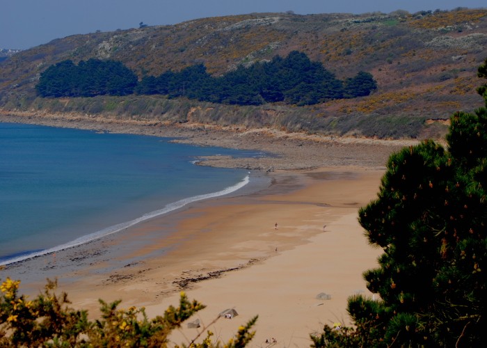 Ferienwohnung Bretagne Petite Coquille - der Hausstrand