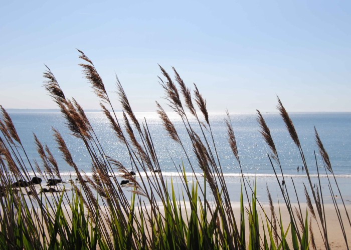 Ferienwohnung Bretagne Petite Coquille - der Hausstrand