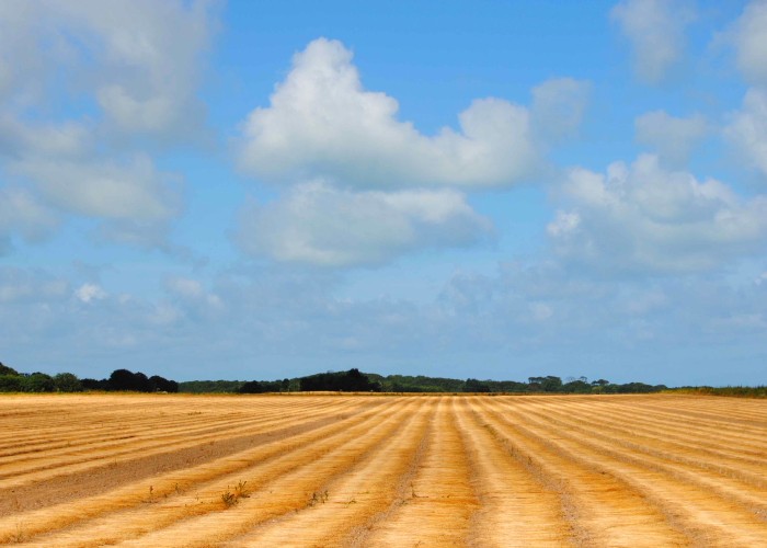 Ferienhaus Bretagne Grande Coquille - Herbst