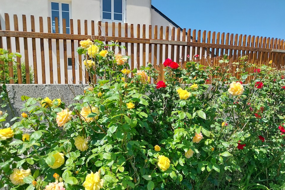 Ferienhaus Bretagne Les Volets Jaunes