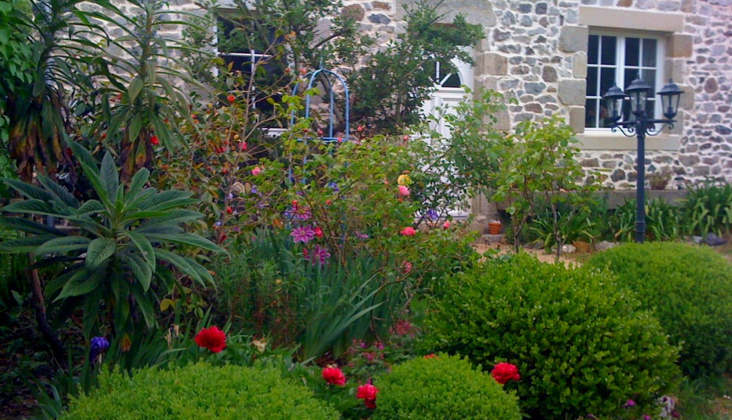 Garten Ferienhaus Bretagne Lescorveau - Rosen, Buchs, Kamelien und ihre Begleiter