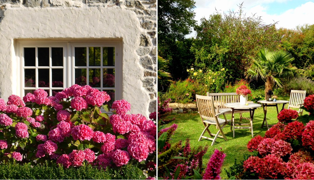 Garten Ferienhaus Bretagne Lescorveau - Hortensien