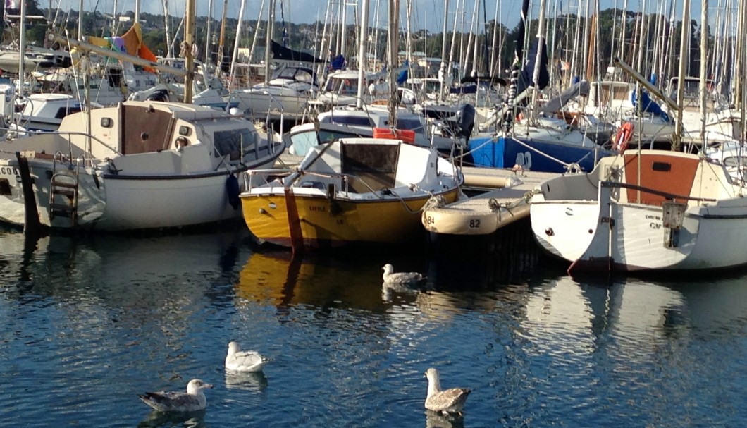 Ferienhaus Bretagne Lescorveau - Hafen Morgat