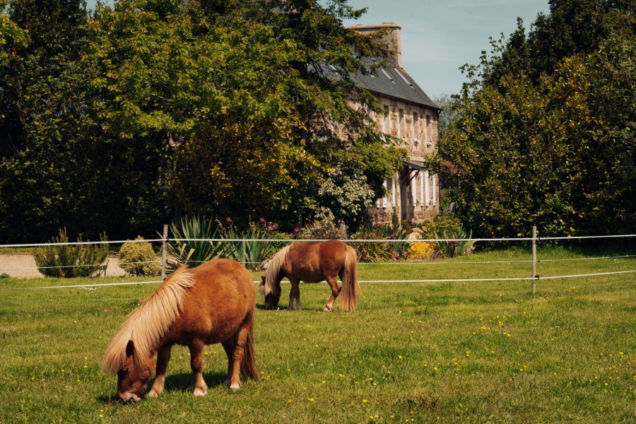 Ferienhäuser Bretagne Manoir des petites Bretonnes