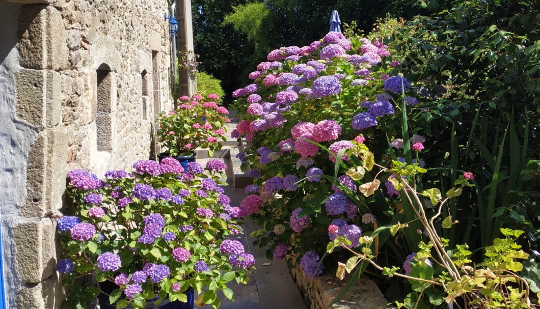 Ferienhaus Bretagne Les Hortensias