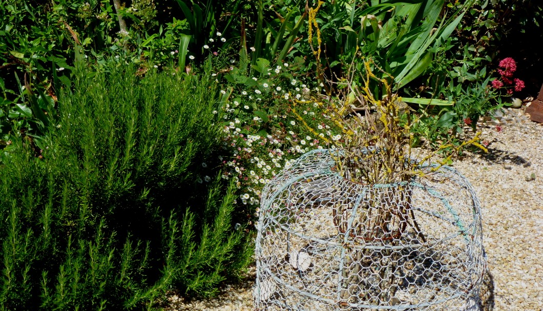 Ferienhaus Bretagne Les Troenes Garten 4