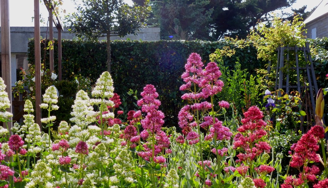 Ferienhaus Bretagne Les Troenes Garten 7