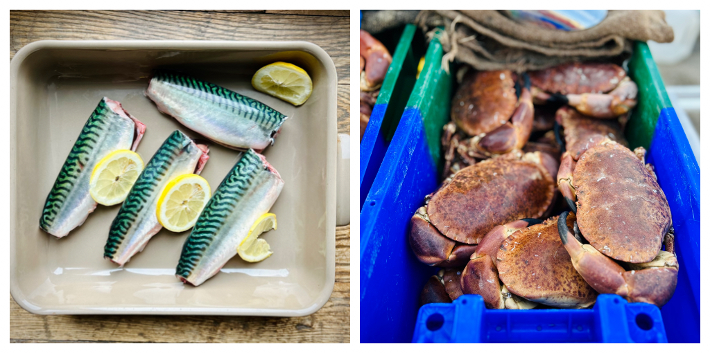 Ferienhaus Bretagne Ty Goat