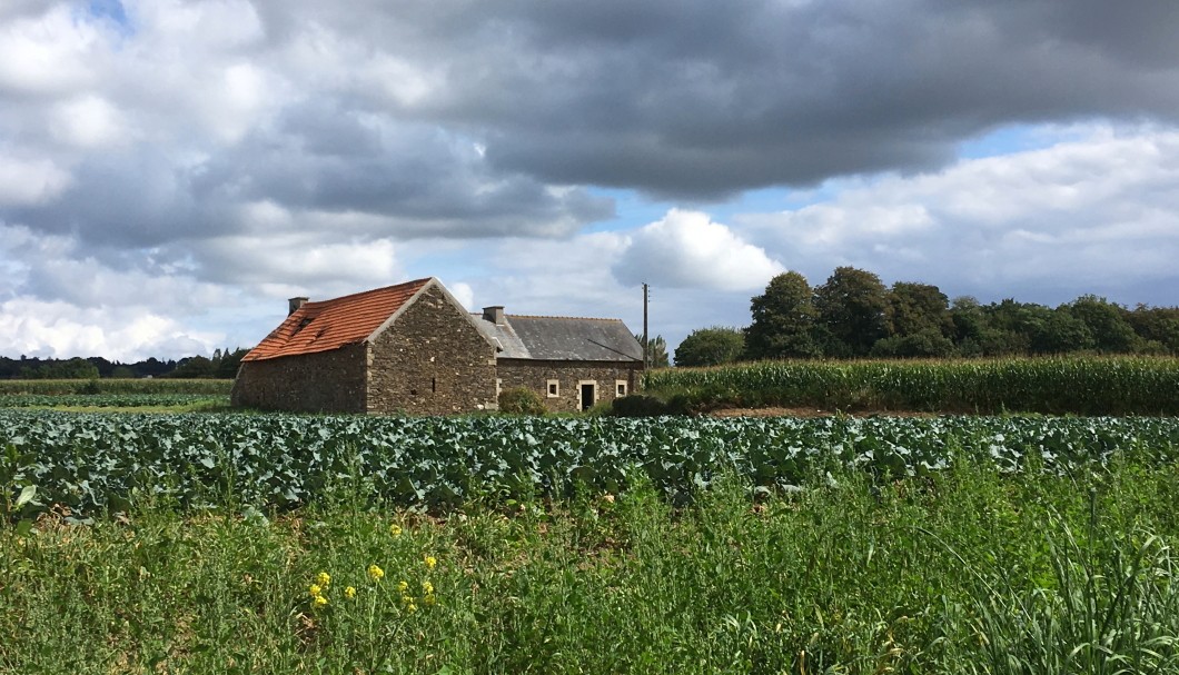 Ferienhaus Bretagne TyCoz - ländliche Umbebung