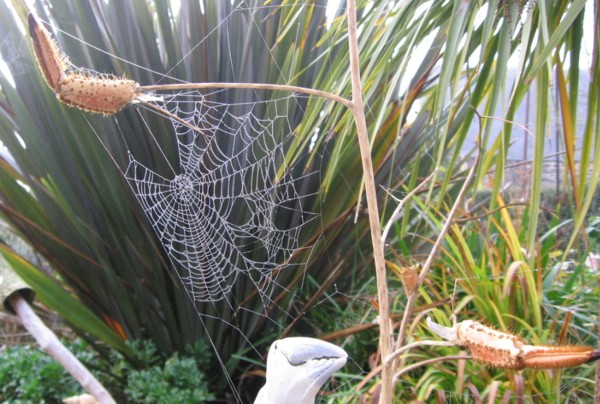 Ferienhaus Bretagne TyCoz: Garten im November 2007