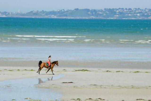 Ferienhaus Bretagne TyCoz: der Strand von St-Efflam