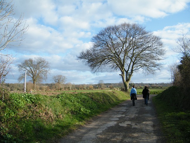 Ferienhaus-Bretagne-TyCoz: Spaziergang mitten auf dem Lande.